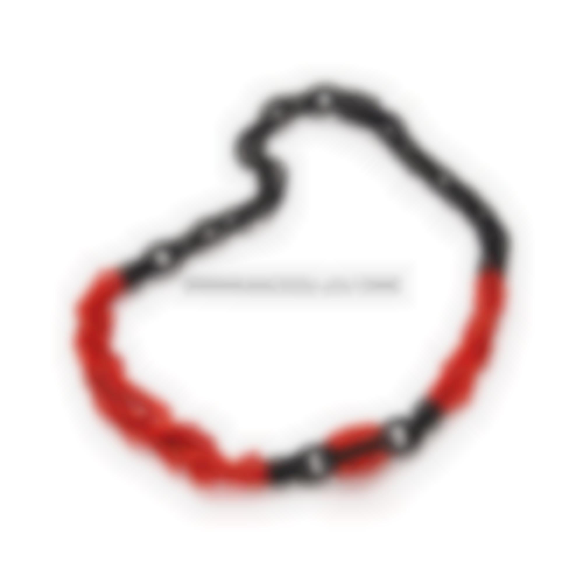 Neckalce with natural red coral and ebony 