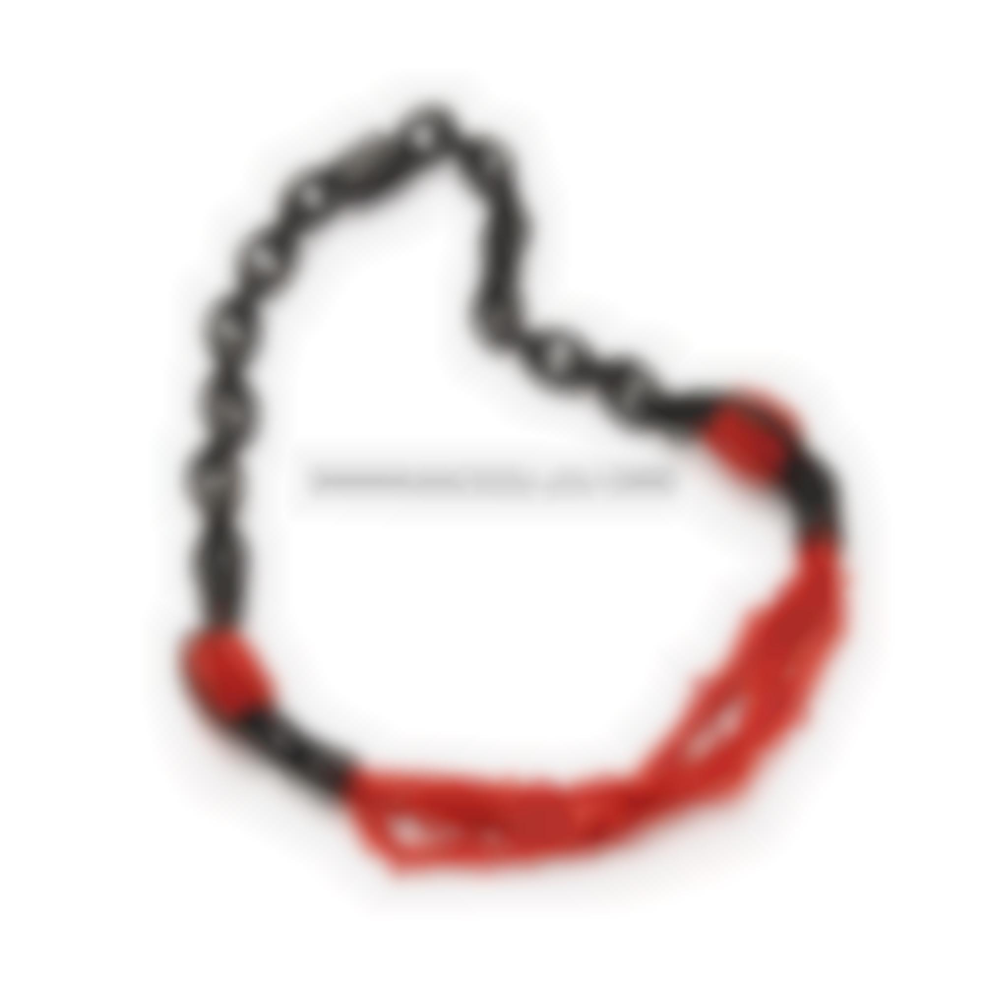Necklace with ebony and natural red italian coral 